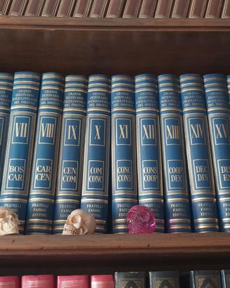 Dizionario enciclopedico del diritto