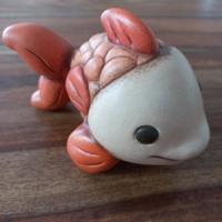 Thun Pesce Rosso - Animali Marini