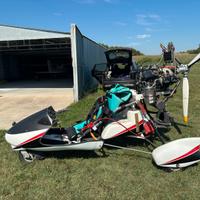 Trike deltaplano a motore Phoenix Mantovani 912