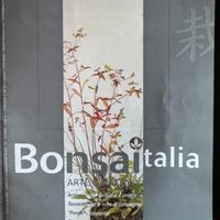Bonsai Italia nr. 56