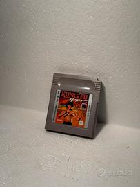 Gioco Nintendo Gameboy kung fu master