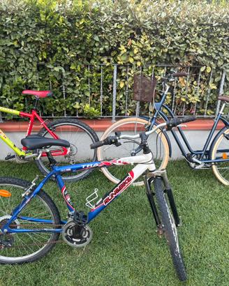 Lotto 3 biciclette (MTB Elops e City Bike)