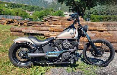 HARLEY DAVIDSON NIGHT TRAIN FXSTB  ROLAND SANDS
