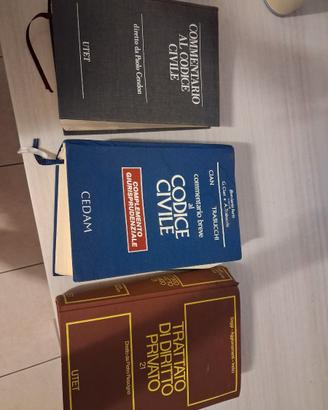 Libri Commetario al Codice Civile