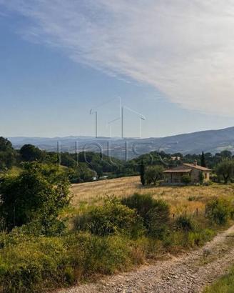 Terreno di 40000 m² a Città di Castello