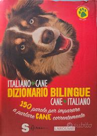 Italiano cane dizionario cane italiano 