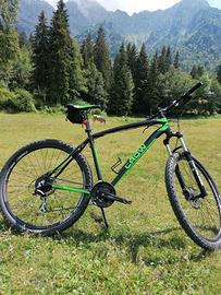 bici taglia 29