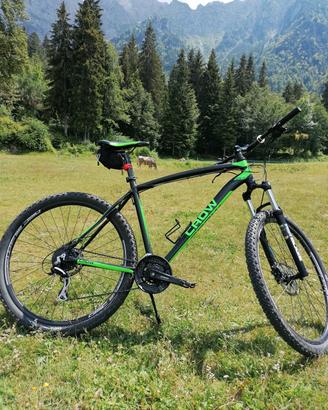 bici taglia 29