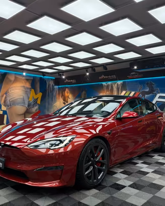 Model S Performance Dual Motor Plaid awd FRENI CAR