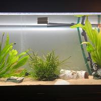 Acquario completo 200 litri con mobile