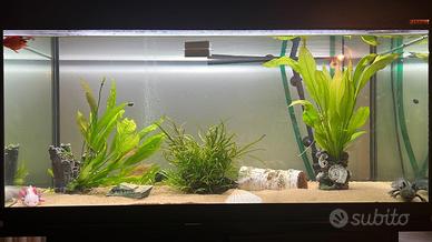 Acquario completo 200 litri con mobile