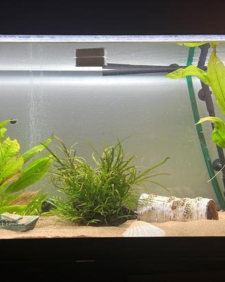 Acquario completo 200 litri con mobile