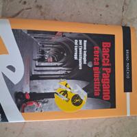 Bacci Pagano giustizia