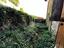 Immagine 18
