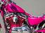 Immagine 13
