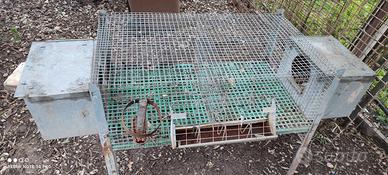 Gabbia per conigli 