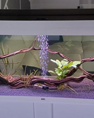 Acquario Juwel Rio 240 Litri LED+filtro askoll+eff