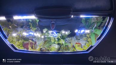 accessori per animali roma