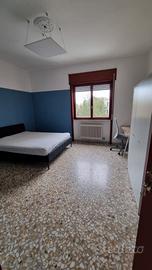 Camera ad uso singolo ampia e riservata