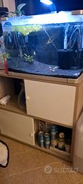 Acquario completo 60lt + 5lt