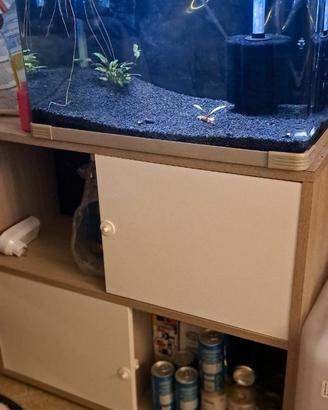 Acquario completo 60lt