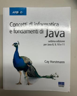 Cencetti di informatica e fondamenti di java