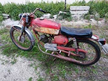 moto morini