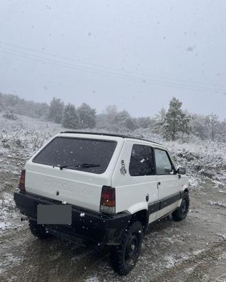 PANDA 4X4 DOPPIO TETTINO APRIBILE