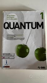 Quantum 1