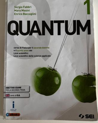 Quantum 1