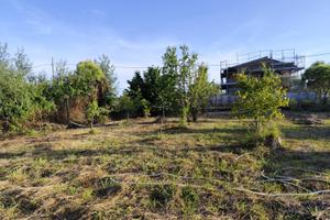 Terreno agricolo