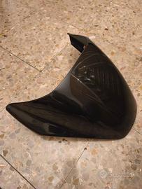 Coprisella ducati monster