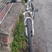 bici cannondale