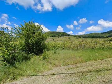 RGE 79/2024 Trib Pavia - LOTTO 2