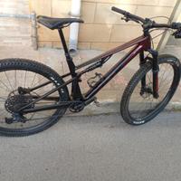 bmc fourstroke lt one