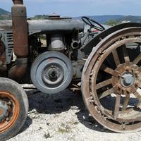 Landini testa calda, L 45