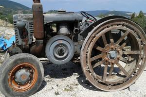 Landini testa calda, L 45