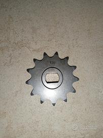 PIGNONE 13 DENTI (NUOVO)