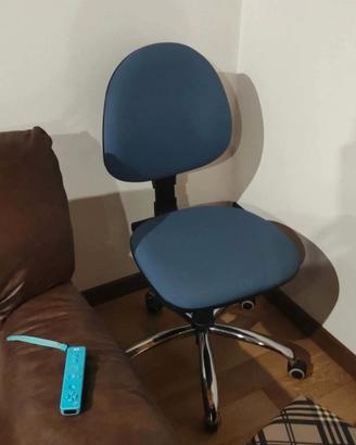 sedia a rotelle da scrivania