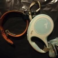 Guinzaglio estensibile