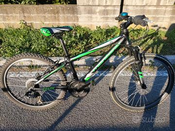 Montana Spark junior