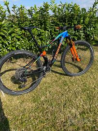 Mtb Torpado Renero X 29”