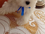 Immagine 6