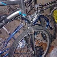 bici rokrider 