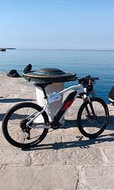 Rockrider bici elettrice