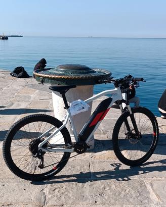 Rockrider bici elettrice