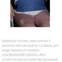 Fascia di sicurezza per disabili