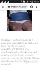 Fascia di sicurezza per disabili