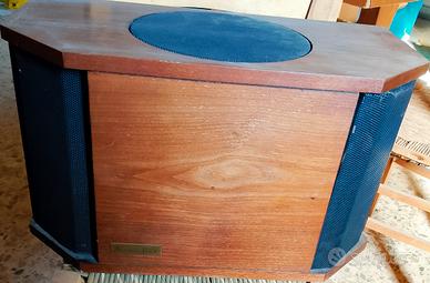 Coppia diffusori Allison