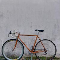 bicicletta epoca da corsa, cicli Adriatica